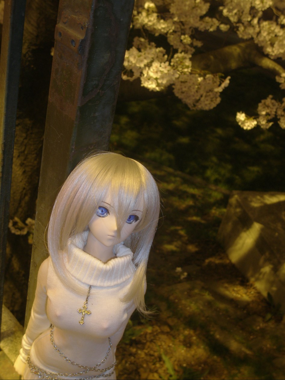 (스압주의)봄의 벗꽃출사 첫째 날 아리사_15.jpg