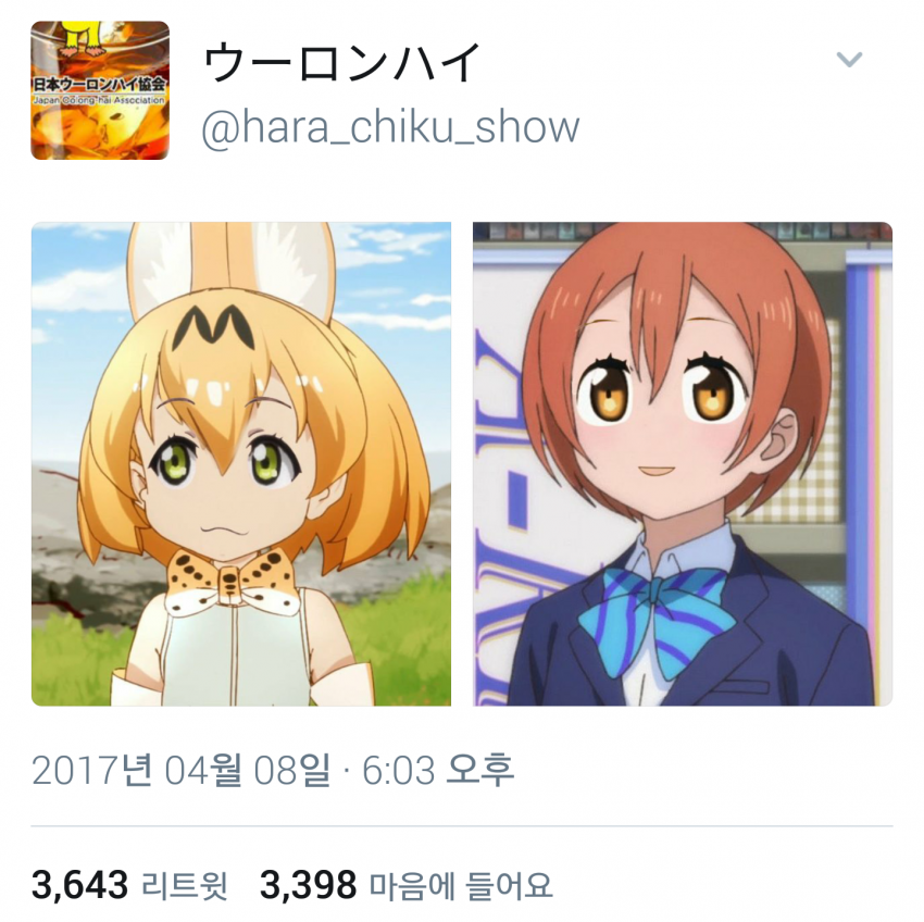 댕청 서벌 표정_4.png