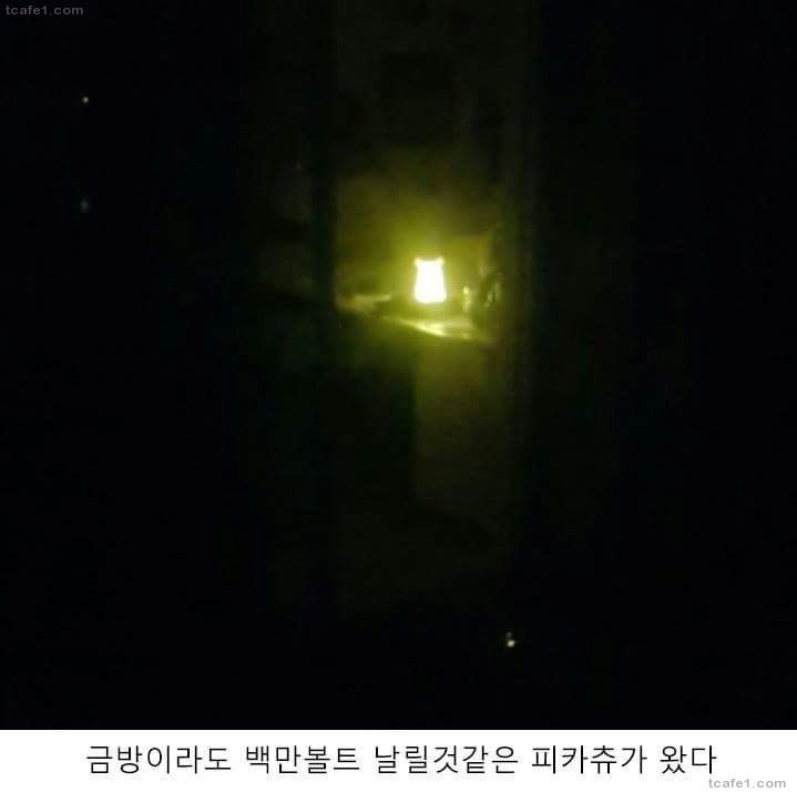 피카츄 무드등 후기_2.jpg