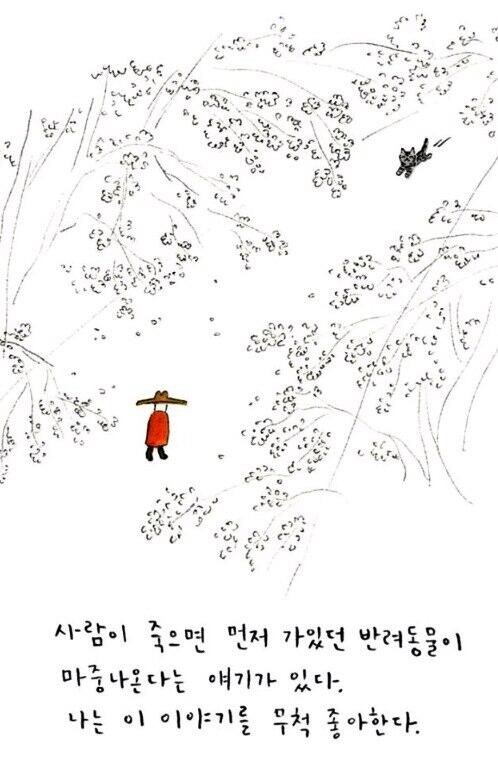 안락사 직전 주인과 신나게 노는 댕댕이.gif_1.jpg