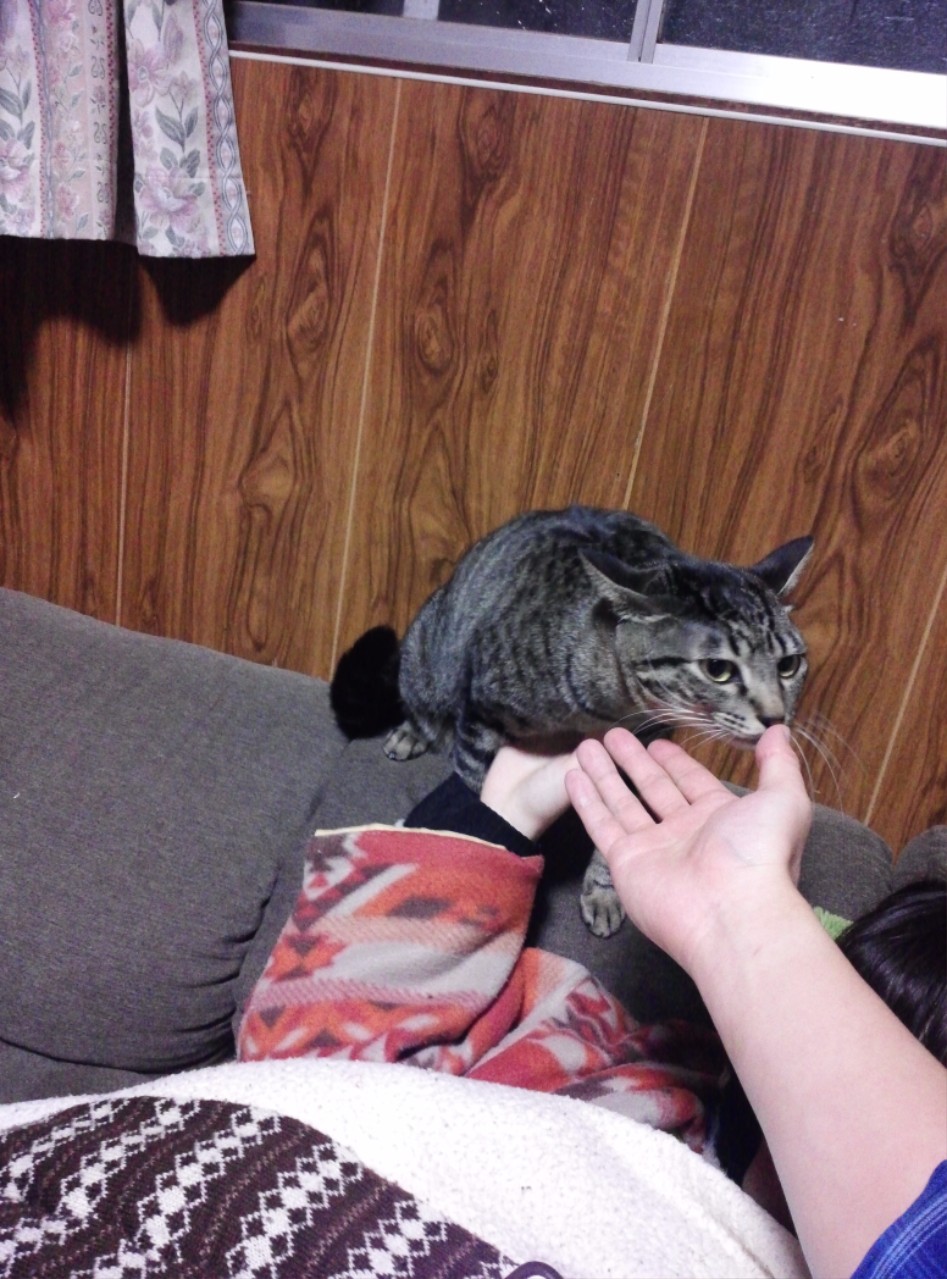 연말연초에 또 애인보러 간뒷북 일본여행이야기 스압 일본설날-오사카-나라 PART3_193.jpg