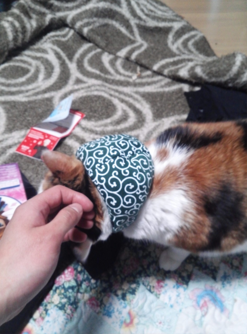 연말연초에 또 애인보러 간뒷북 일본여행이야기 스압 일본설날-오사카-나라 PART3_218.jpg