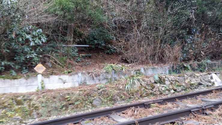 [스압]벨티네의 고독한 미식가 순례기 6. 카나가와현 하코네마치 이로리야_52.jpg