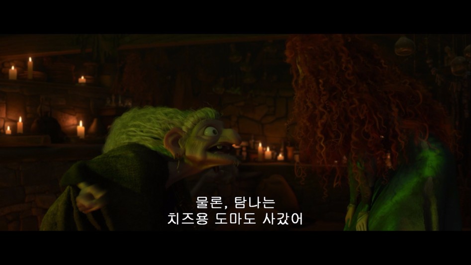 [메리다와 마법의 숲]_7.jpg