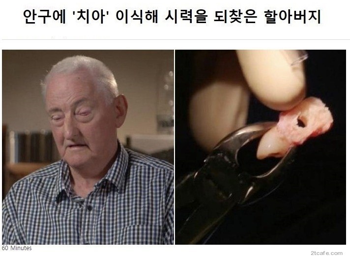 현대 의학의 신비1.jpg