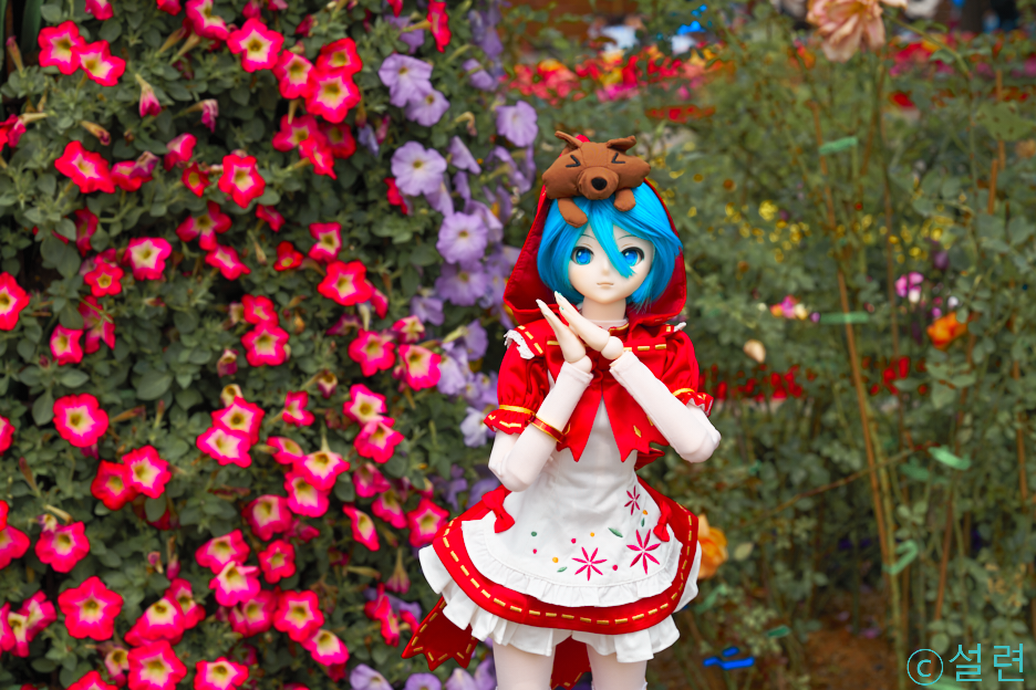 2017 고양 국제 꽃박람회_5.png