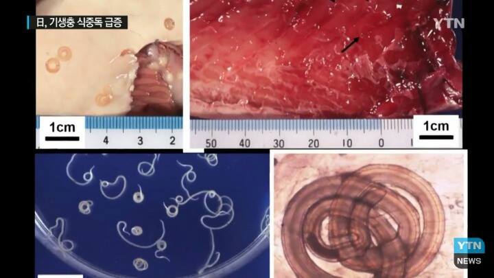 [혐] 일본여행 시 주의할 점_6.jpg