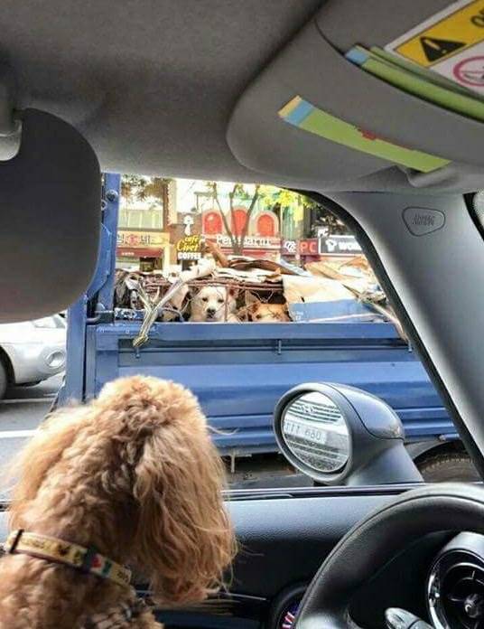 퓰리처상급 사진구도 . jpg_1.jpg