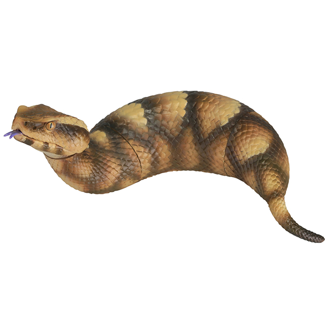 tsuchinoko_04.jpg