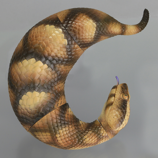 tsuchinoko_09.jpg