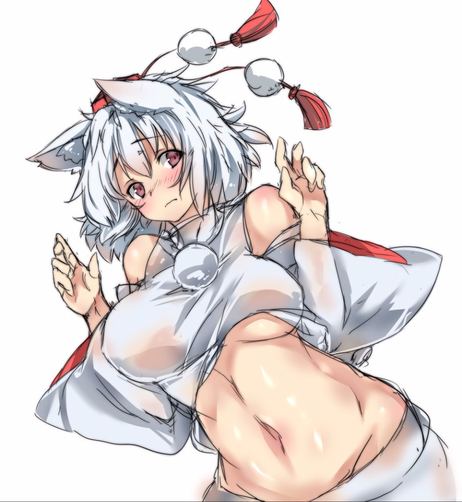 inubashiri momiji (touhou) drawn by ototobe - 4d07401b181fb31cd3a4415cdd99adf9.jpg