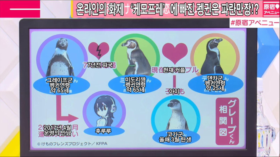 펭생이 히토미 그 자체인 영감님_1.jpg