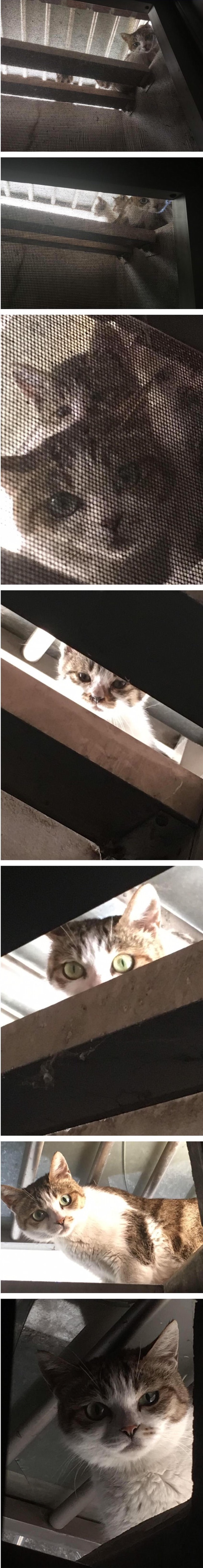 반지하 집에 살면 좋은점.jpg_1.jpg