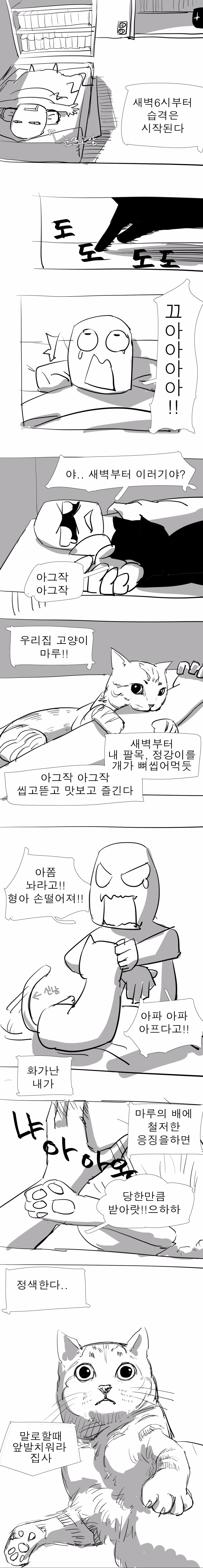 마루일기1주차.jpg