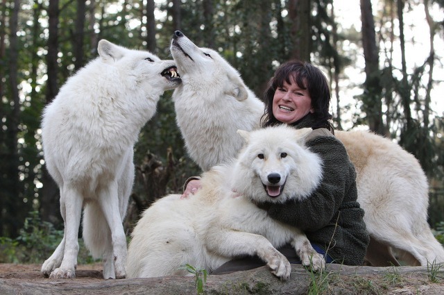 어떤 동물 사진작가의 친화력._3.jpg