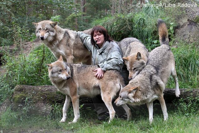 어떤 동물 사진작가의 친화력._6.jpg