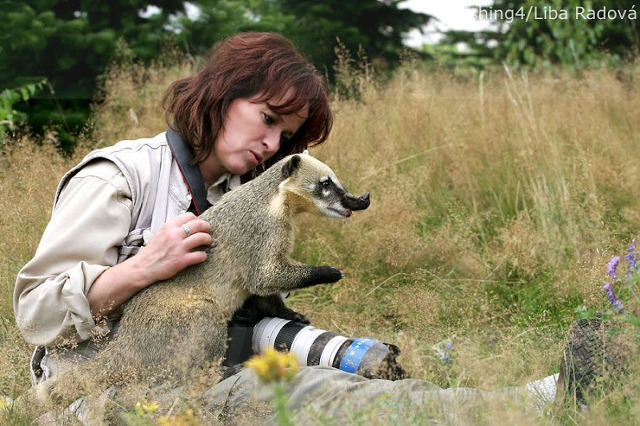 어떤 동물 사진작가의 친화력._10.jpg