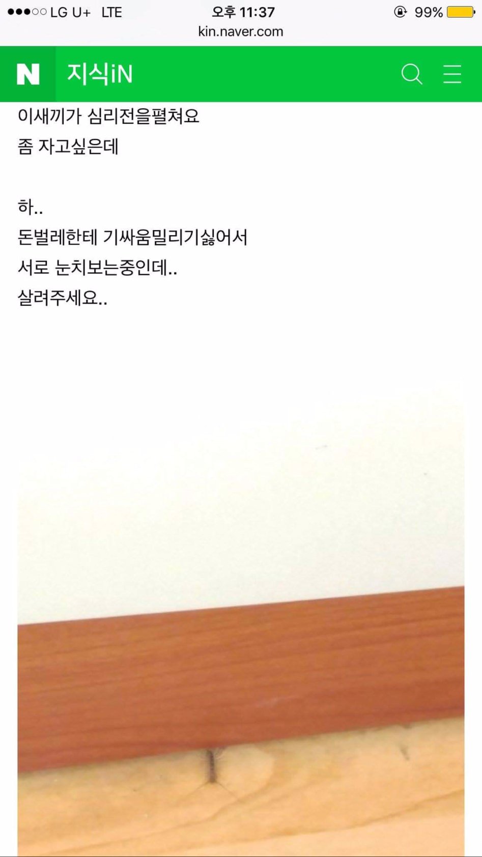 돈벌레가 만든 지식인 명작_1.jpg