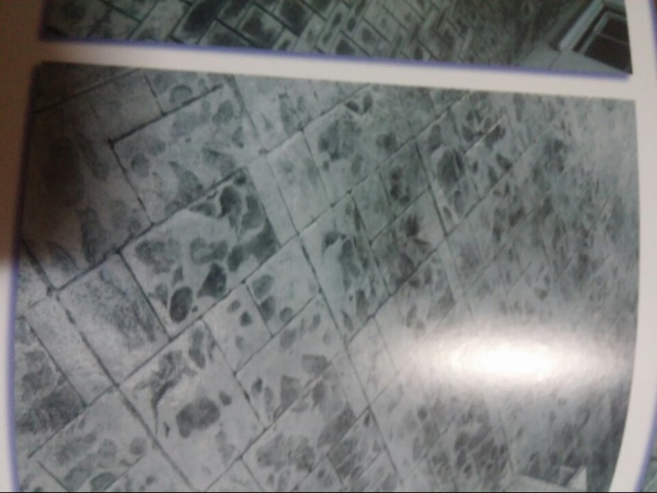 주택 마당 미장 불령하자에 대한 소송 질문입니다_1.jpg