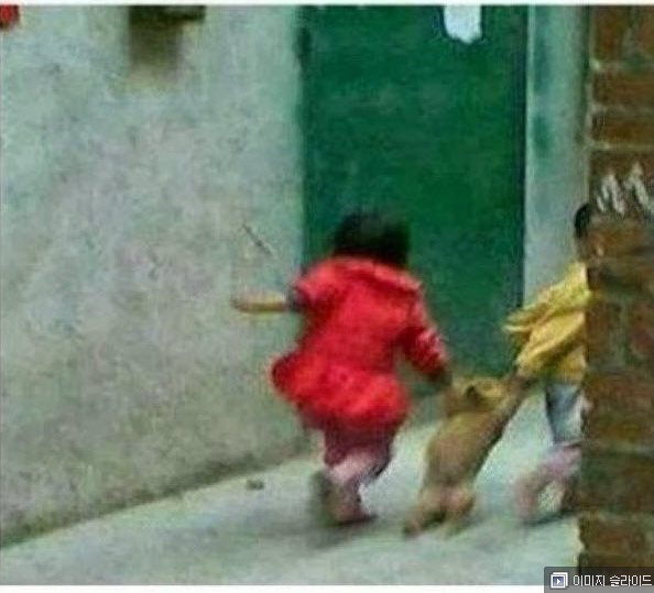 사, 살려줘... 제발! 그들이 온다...!_2.jpg