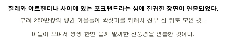 펭귄500만 마리._5.jpg