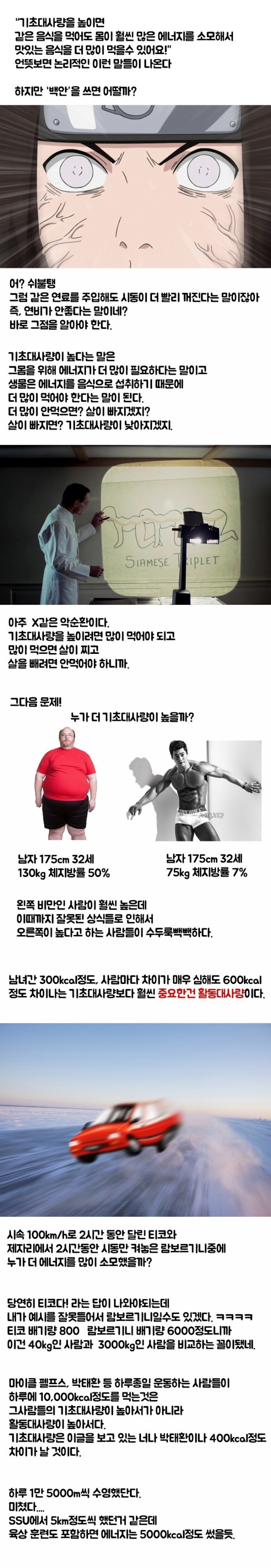 기초대사량을 높여서 살 안찌는 체질 만든다고2.jpg