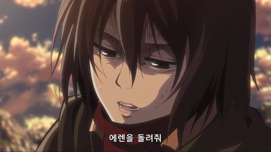 [진격의 거인] 다채로운 미카사의 표정 변화_24.jpg