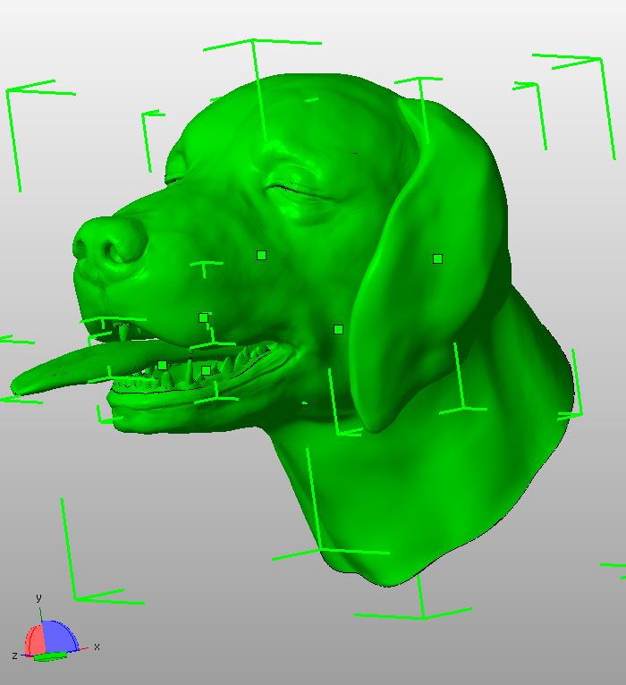 3D프린팅 동물 수술의료모형 제작기_4.jpg
