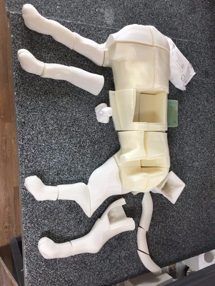 3D프린팅 동물 수술의료모형 제작기_10.jpg