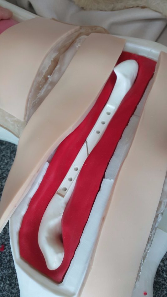 3D프린팅 동물 수술의료모형 제작기_12.jpg