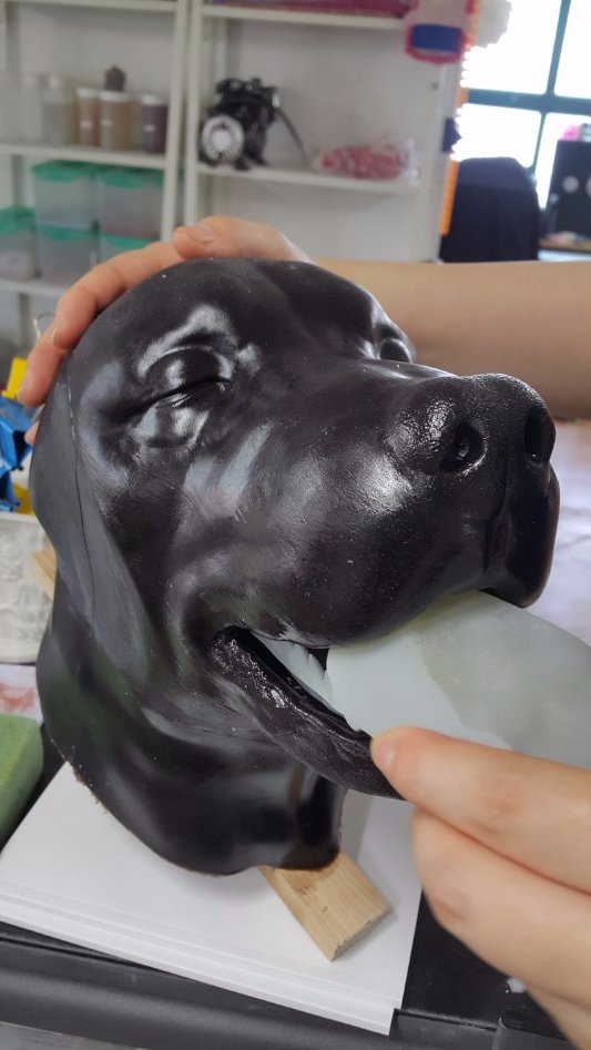 3D프린팅 동물 수술의료모형 제작기_18.jpg