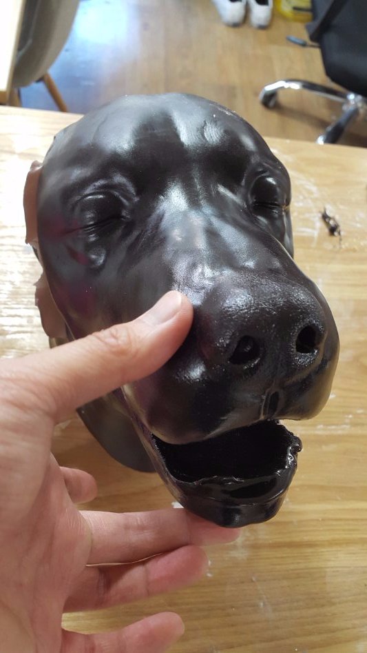 3D프린팅 동물 수술의료모형 제작기_17.jpg