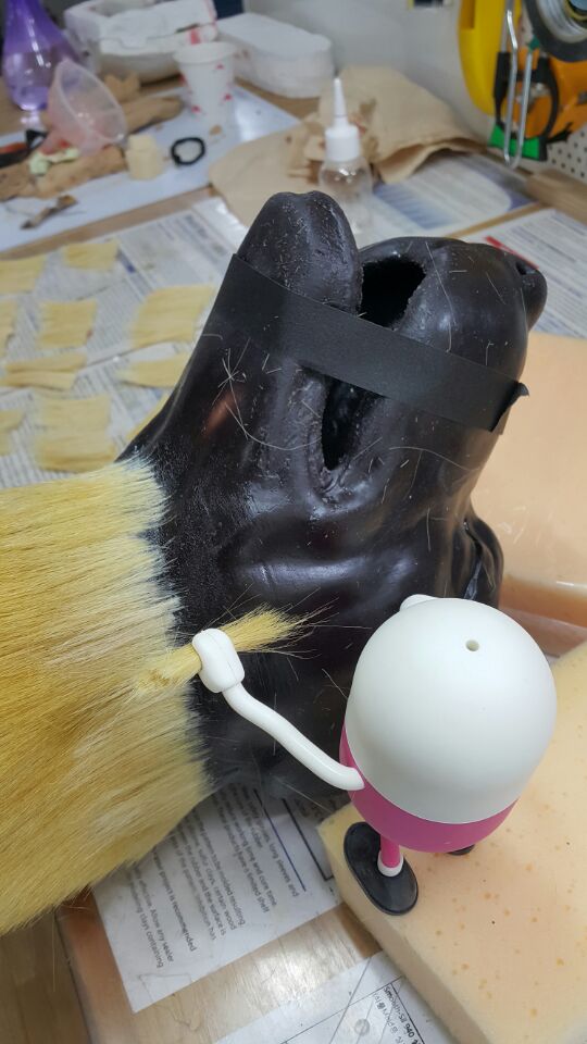 3D프린팅 동물 수술의료모형 제작기_28.jpg