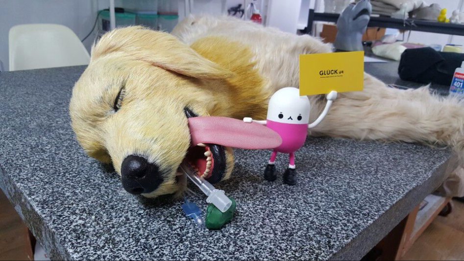 3D프린팅 동물 수술의료모형 제작기_48.jpg