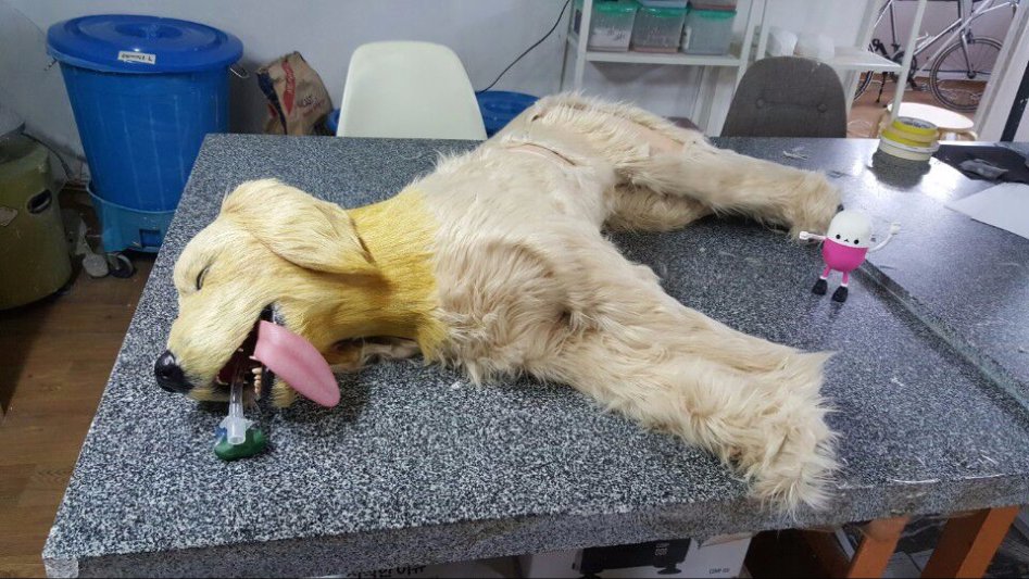 3D프린팅 동물 수술의료모형 제작기_38.jpg