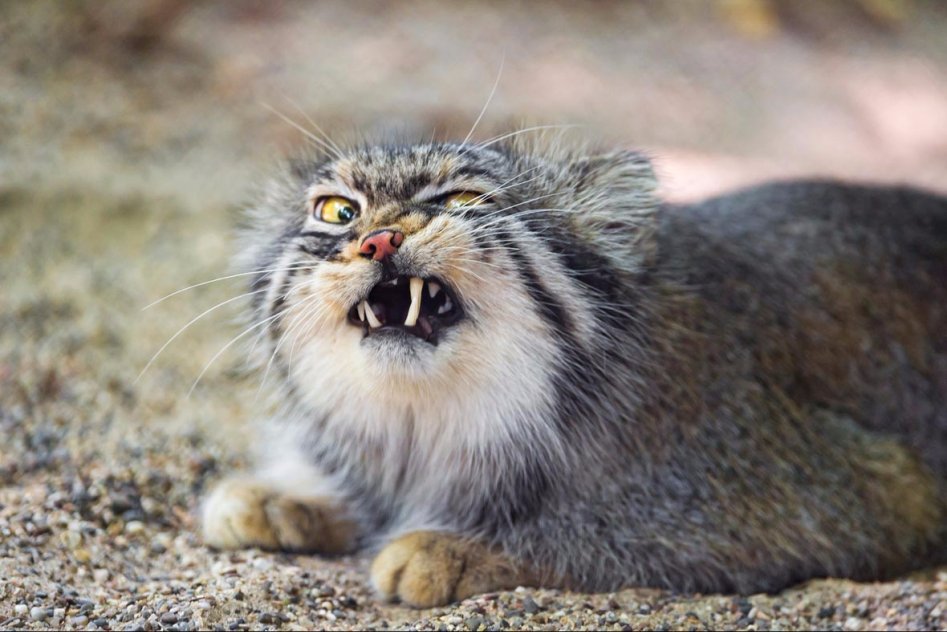 마눌 사진 보여드림 ㅎㅎ_1.jpg