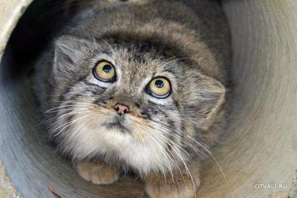 마눌 사진 보여드림 ㅎㅎ_6.jpg