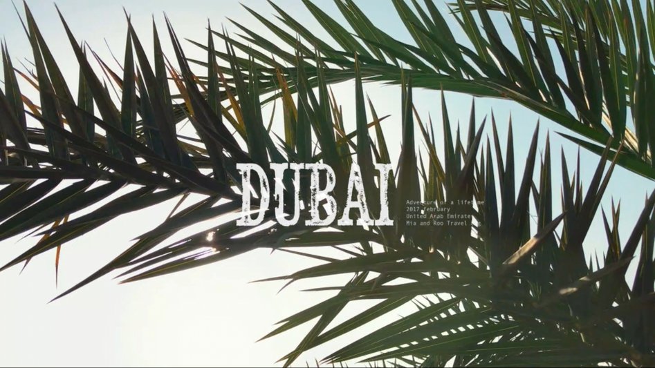 Desert safari Dubai - Shot on iPhone 7.mp4_20170712_151353.394.jpg