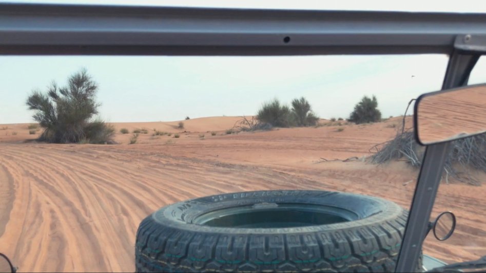 Desert safari Dubai - Shot on iPhone 7.mp4_20170712_151451.383.jpg
