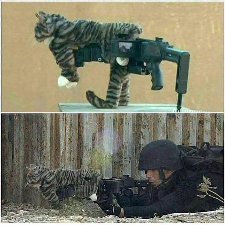 military-humor-the-ultimate-weapon-of-urban-warfare-cat-gun.jpg