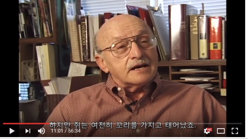 진화론을 믿을 수 없는 이유._7.jpg