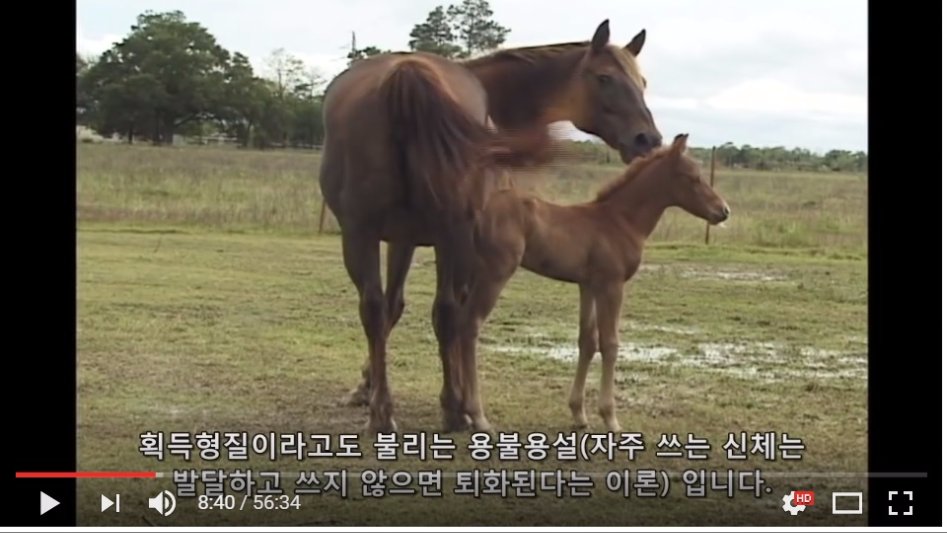 진화론을 믿을 수 없는 이유._1.jpg