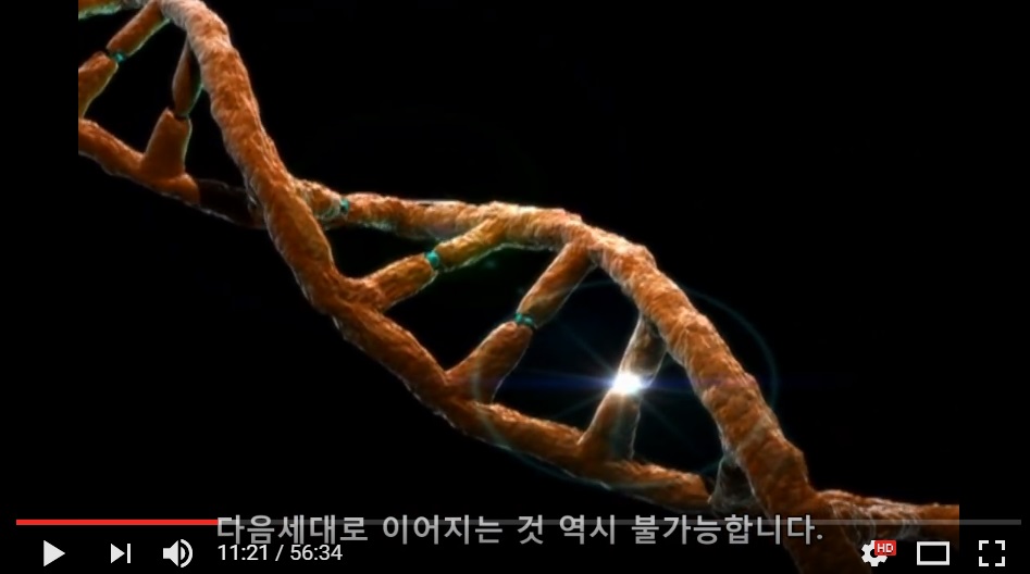 진화론을 믿을 수 없는 이유._9.jpg