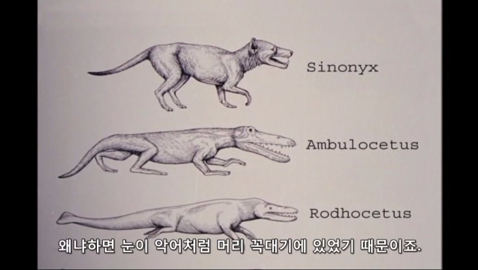 진화론을 믿을 수 없는 이유._13.jpg