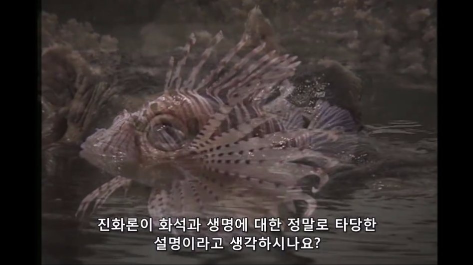 진화론을 믿을 수 없는 이유._19.jpg