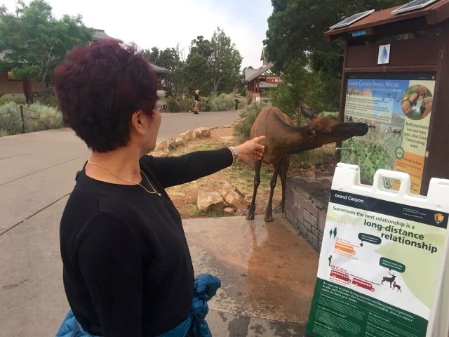 장모님 모시고 12박 14일 미쿡 자동차 여행(스압주의)_73.jpg