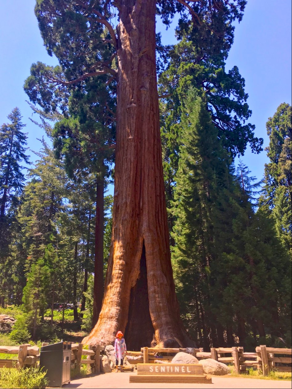 장모님 모시고 12박 14일 미쿡 자동차 여행(스압주의)_104.jpg