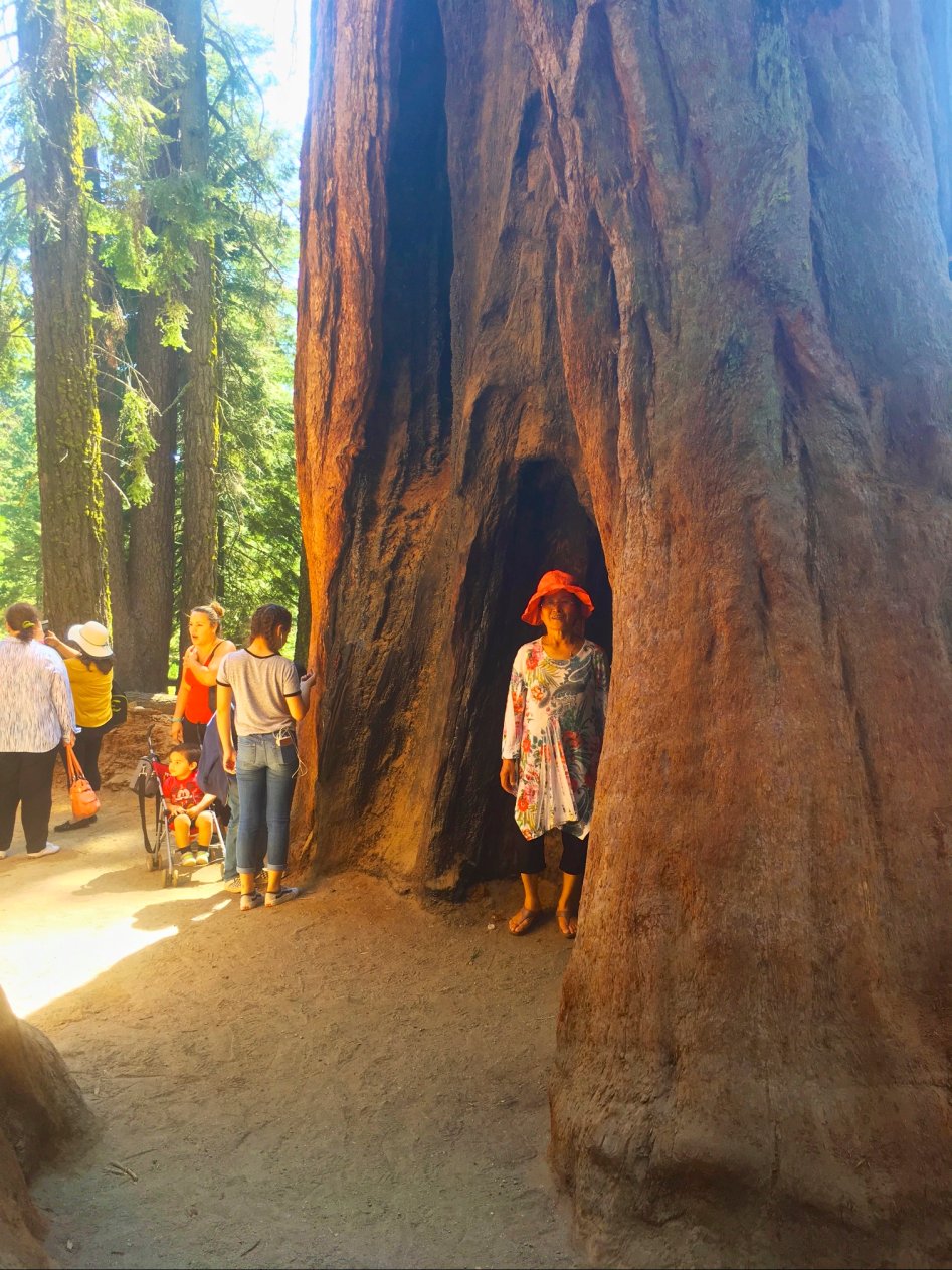 장모님 모시고 12박 14일 미쿡 자동차 여행(스압주의)_107.jpg