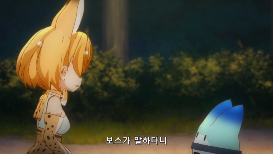 [모에-Raws] Kemono Friends #02 (TX 1280x720 x264 AAC).mp4_20170816_180540.548.jpg