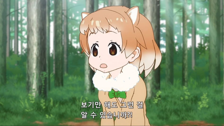 [모에-Raws] Kemono Friends #05 (TX 1280x720 x264 AAC).mp4_20170817_141658.867.jpg